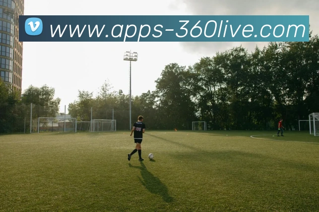 360直播平台生态图